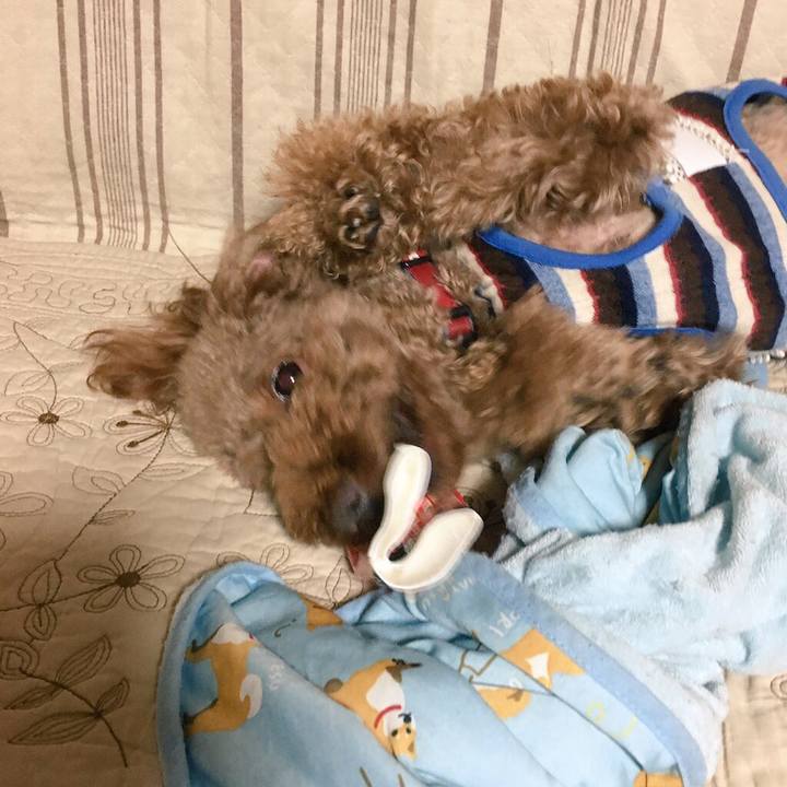 78a34e04 4d0c 461d ac02 20a1d126f7f5