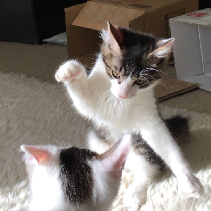 78a377ce b93d 44dd a266 7fa9810e207b