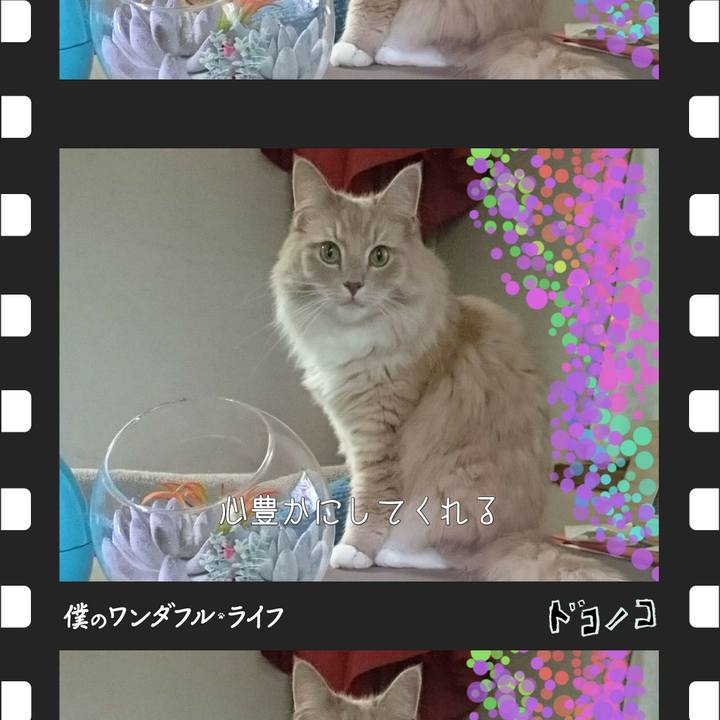 78a487e8 96cc 4975 8daf 7ad4c9cf80d5