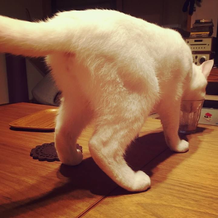 78a4ba37 c7d4 47e1 bd8b d16ab68a7721