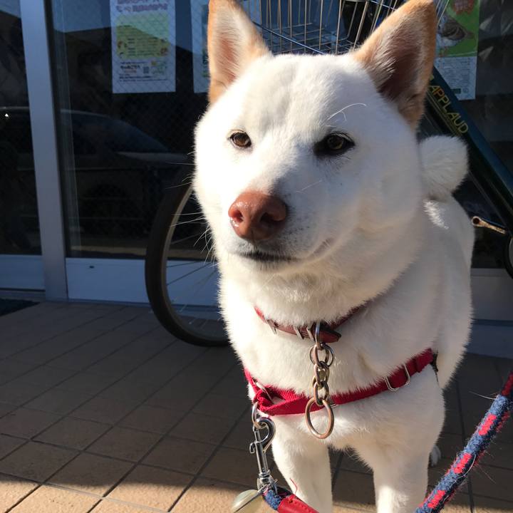 78a55c4b 8bae 4981 affa dc09a0f9334a