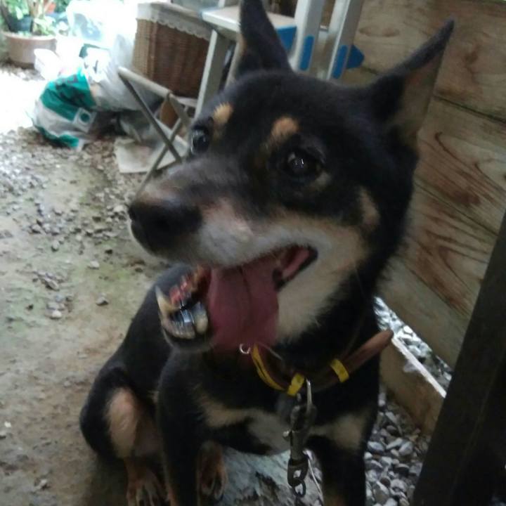 78a58f82 1caf 4739 a0c6 9cf1f27da770