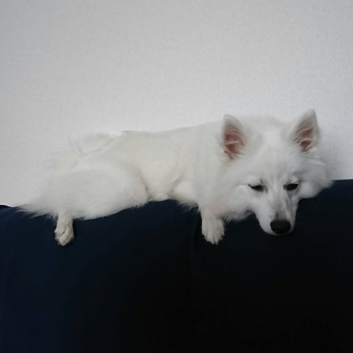 78a608c1 25eb 4264 b85a 3e4ac3b49128