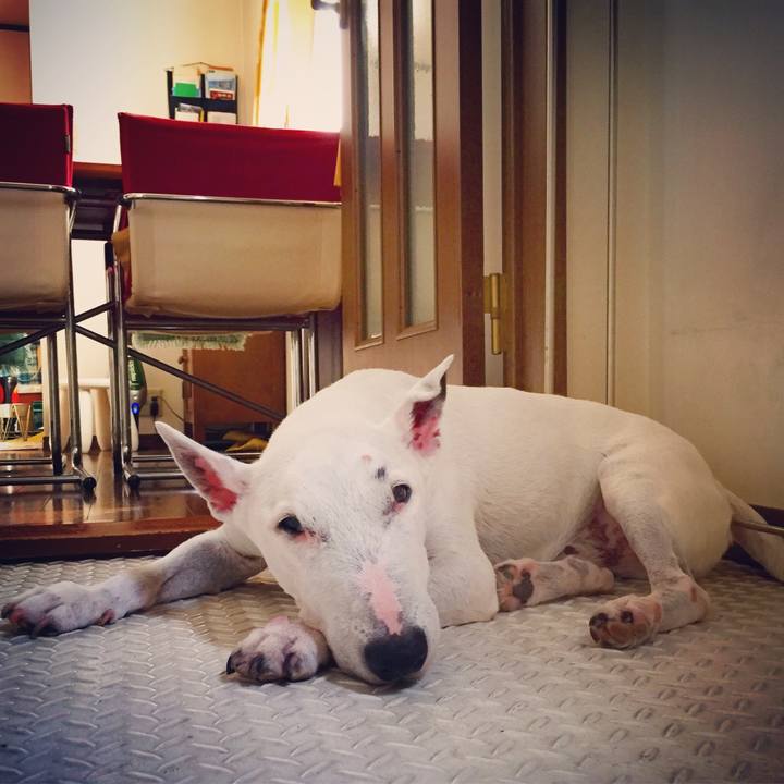 78a635c9 31c8 4fa2 9585 3529db4642bb