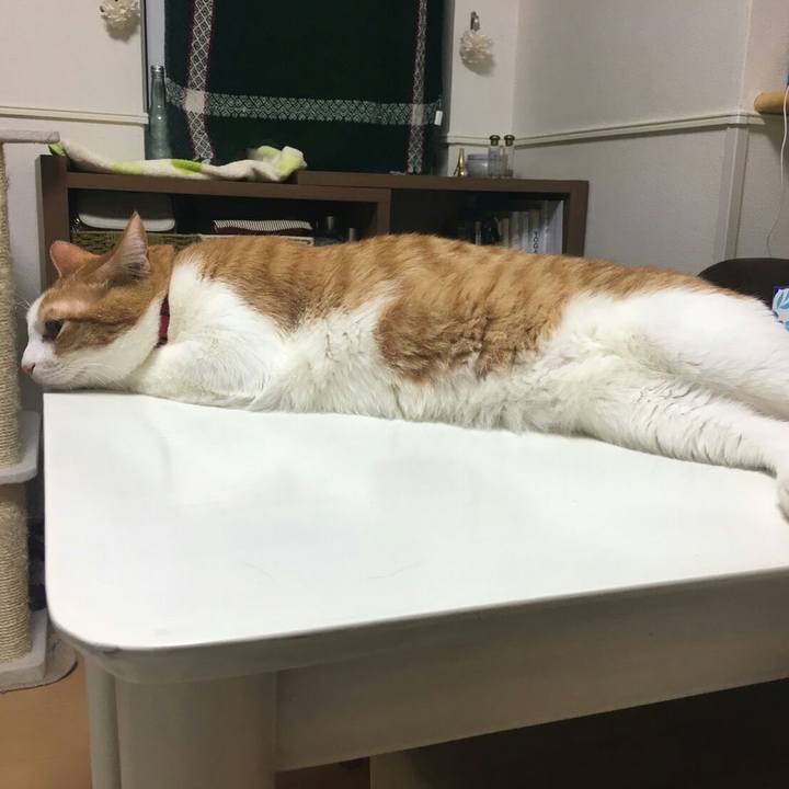 78a7c701 55cb 481d 97be 9a0be24e4914