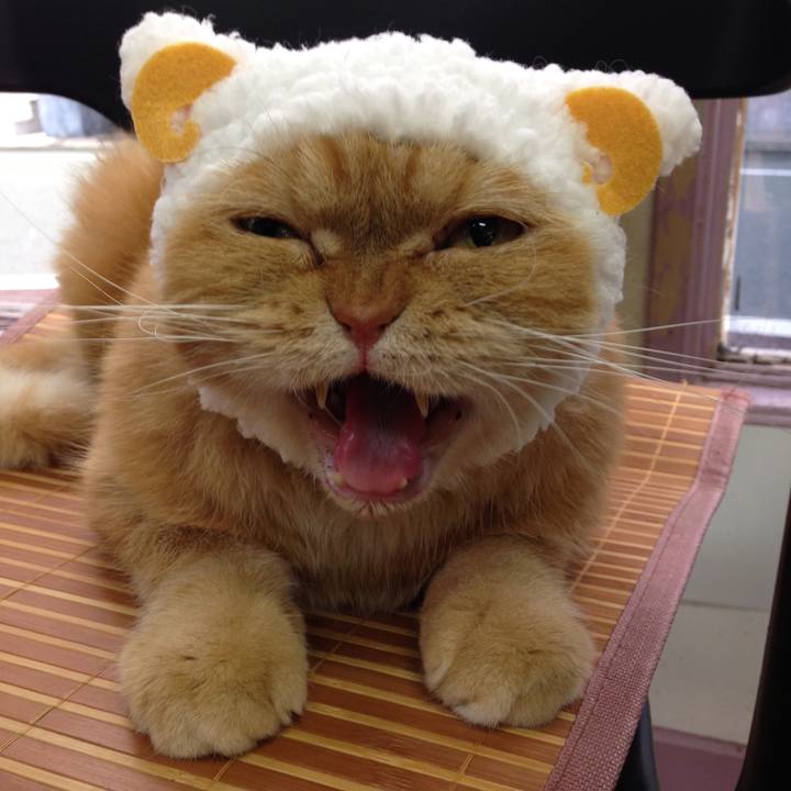 78a9134a 7160 4c0f a665 65d885af6db0