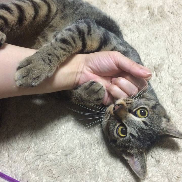 78aa23db 1a55 4f0b a155 ced2ef4543b1