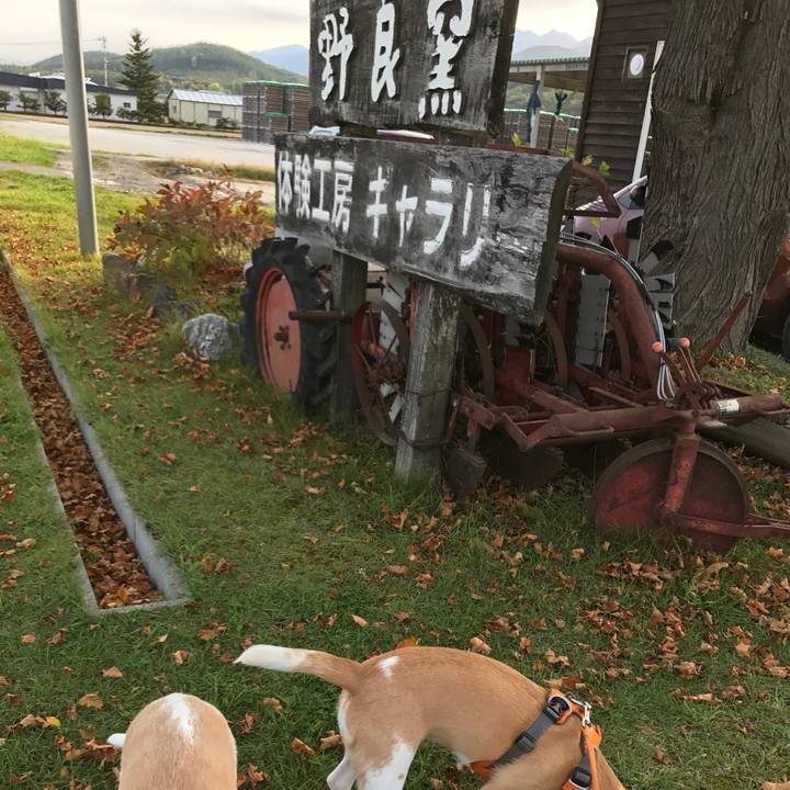 78aa2d82 6a44 4cf0 a9cc b0a646fe5505