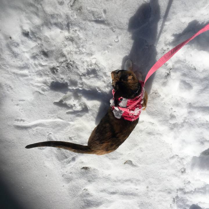 78aa675a 4782 4d86 95a5 e88db48e9ce9