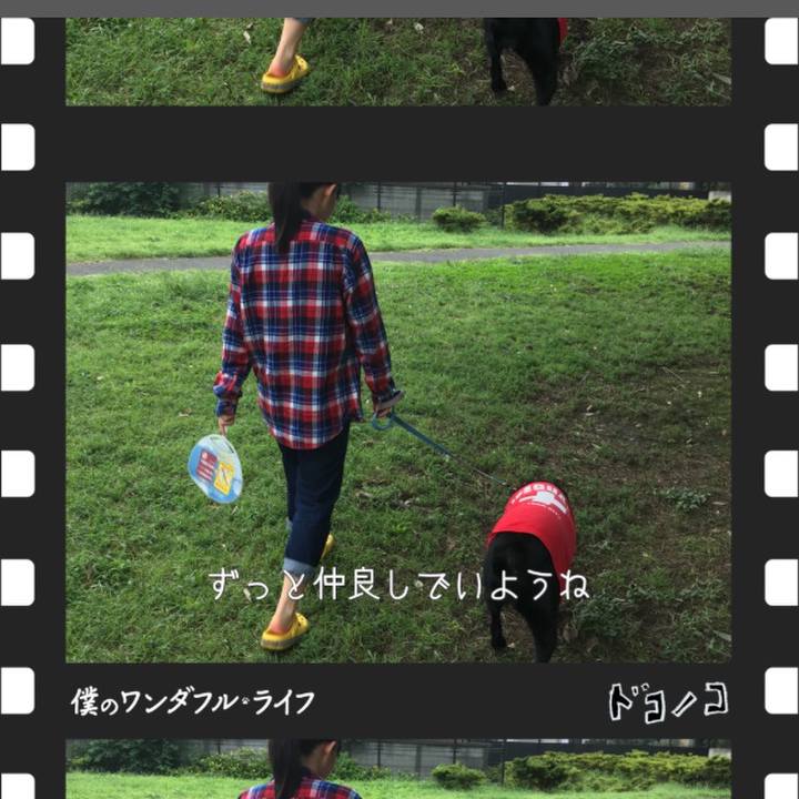 78ab0024 d10e 4b4f 842c 1d30be23046d