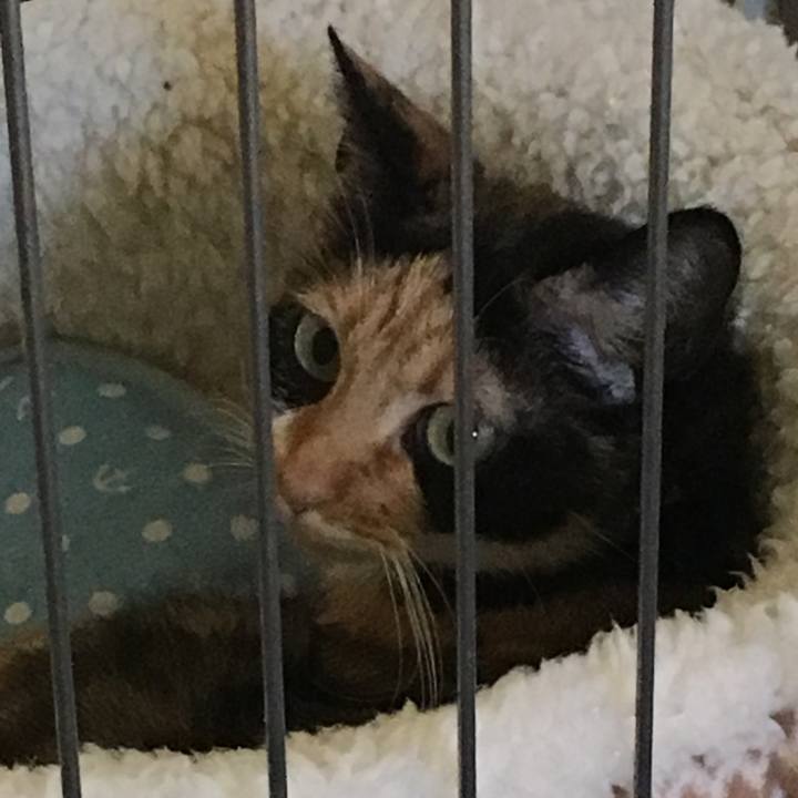 78ab8065 0025 4a3e b0bd 1170af4087a9