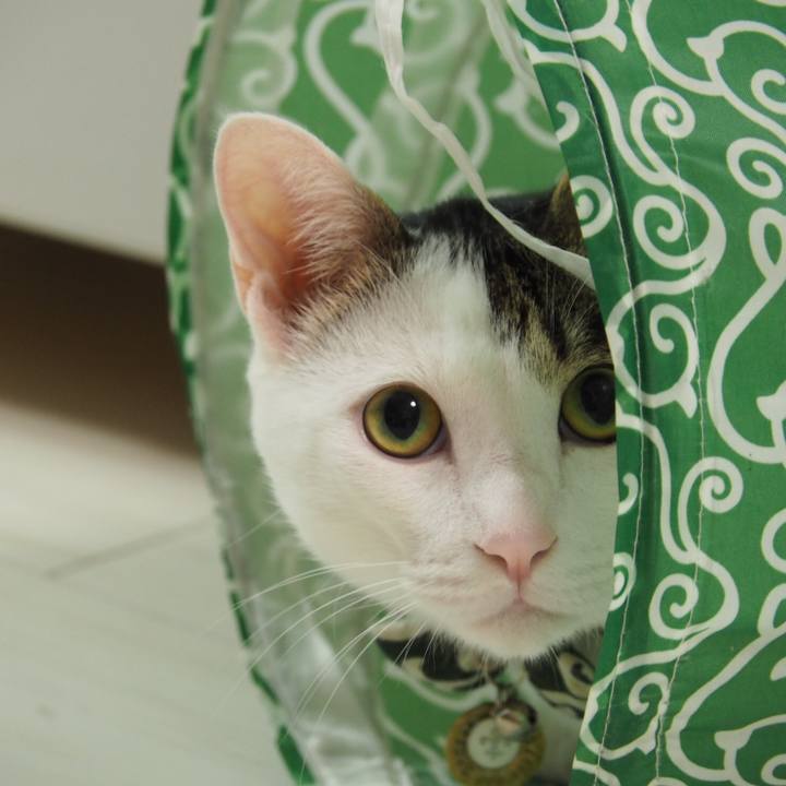 78aca0b0 caa8 4d23 9f7e aff976fe4a26