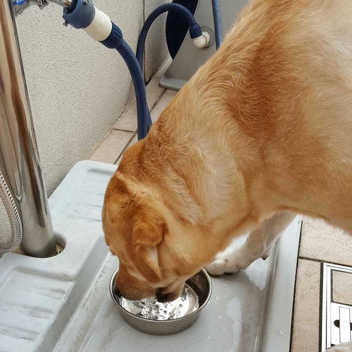 78acceff 95b6 4276 906a e2865fb567c4