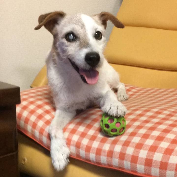 78acecf4 4e44 40d4 a873 580e5b758ad3