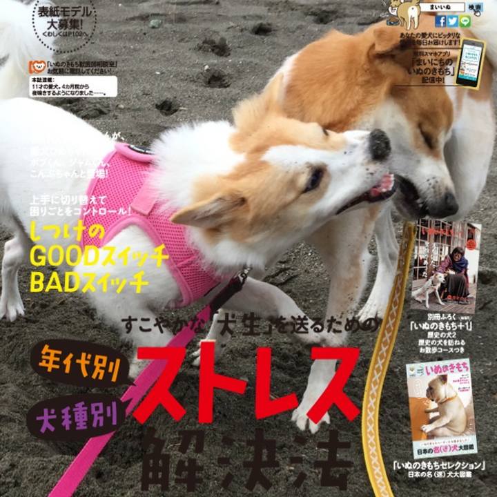 78ad5291 c909 4a30 9320 5865aec72270