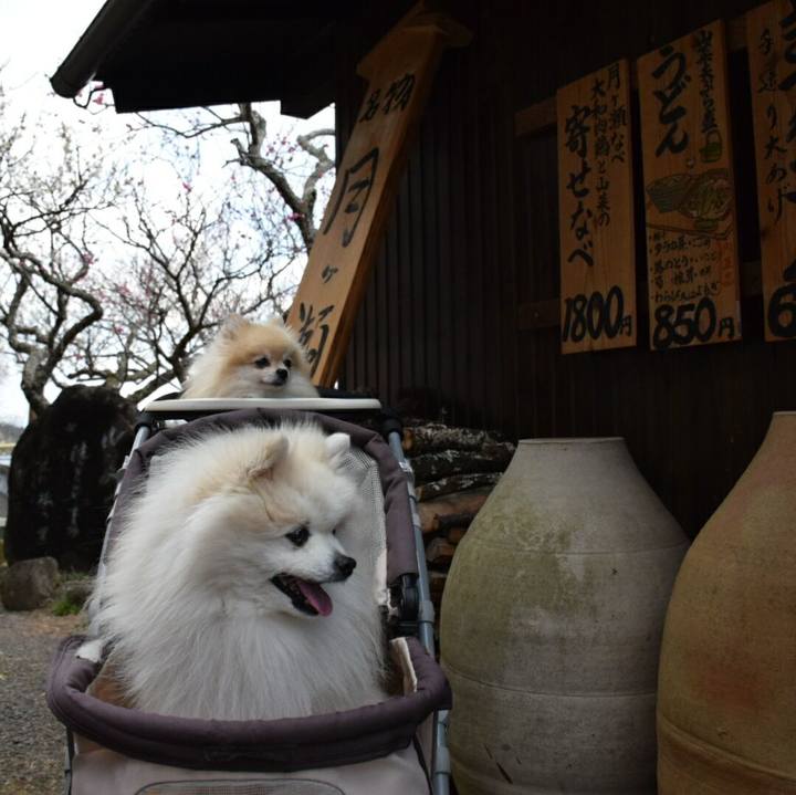 78ad5a4a ba7c 4aec 95e9 89337dabc078