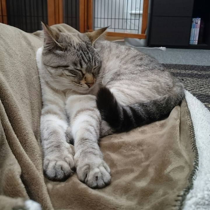 78ad826e 2ef6 4e0a b987 dfb579a34e7c