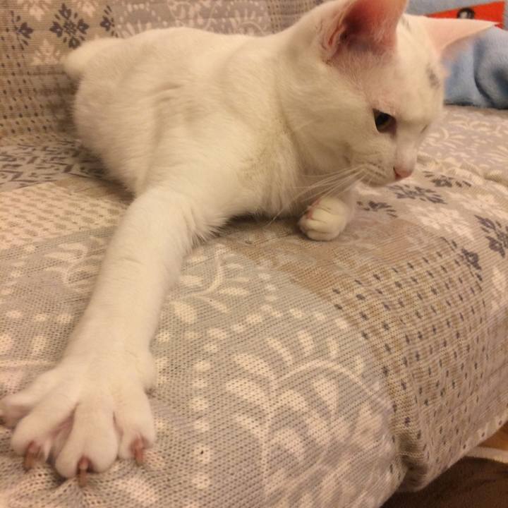 78adbdd3 726a 4cc5 a3b9 bc89ce762a5f