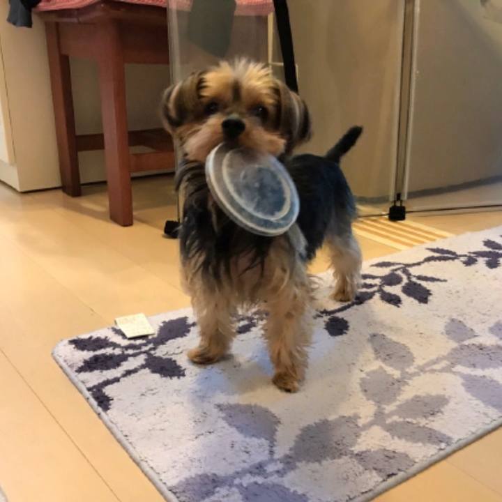 78adcfdf a7af 4482 8960 ea74a52a3993