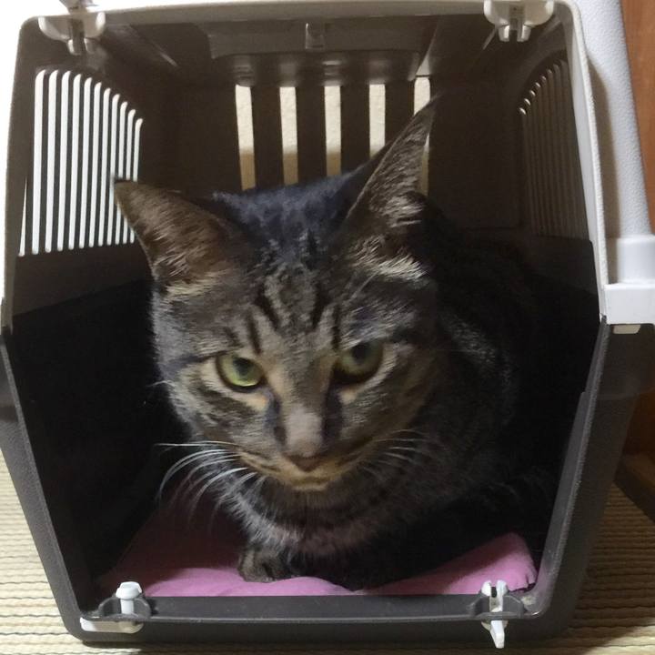 78ae4353 2cc6 49ad 8e1d 517b78520669