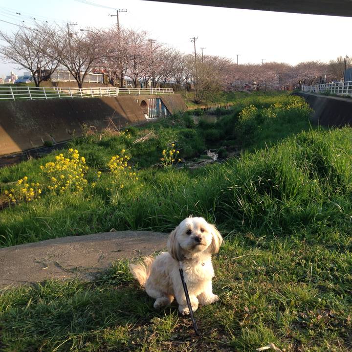 78ae45b9 487d 42e6 bab4 7ec1feac7332