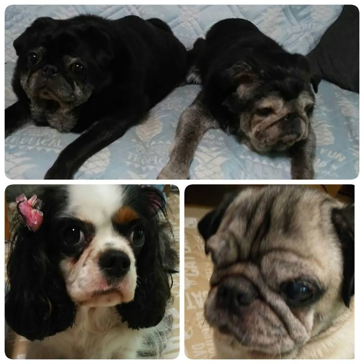 78ae621e 71b7 4b85 b460 5e1441659fc6