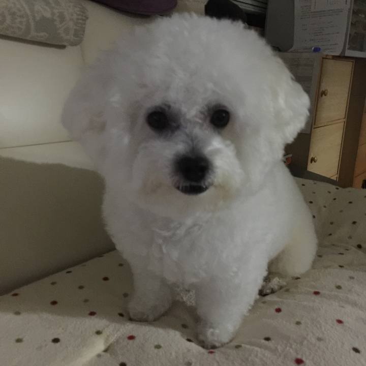 78ae7250 97e5 47ba ad4c 29c2aef7982d