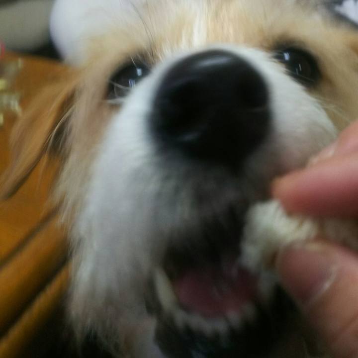 78af0626 577e 4383 8995 4ce9d1480855