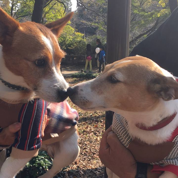 78affd22 5439 4c82 be77 27093b1a5dfb