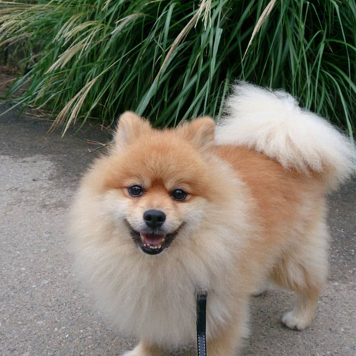 78b1c397 a747 41de 9897 a5b53f93e739