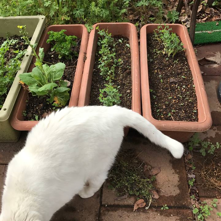 78b241f7 6f37 403d a3da d5ebd128a6dc