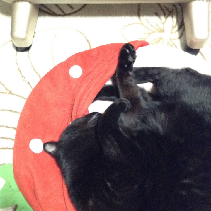 78b27c10 9b0b 4357 9cb4 80d007c64e6f