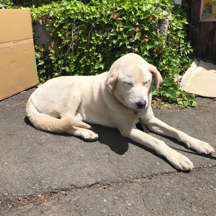 78b27f59 ac9c 406c 8dad 568036f8d49e