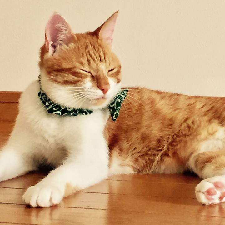 78b28395 ef36 4e2a 8f09 87e954d693a3