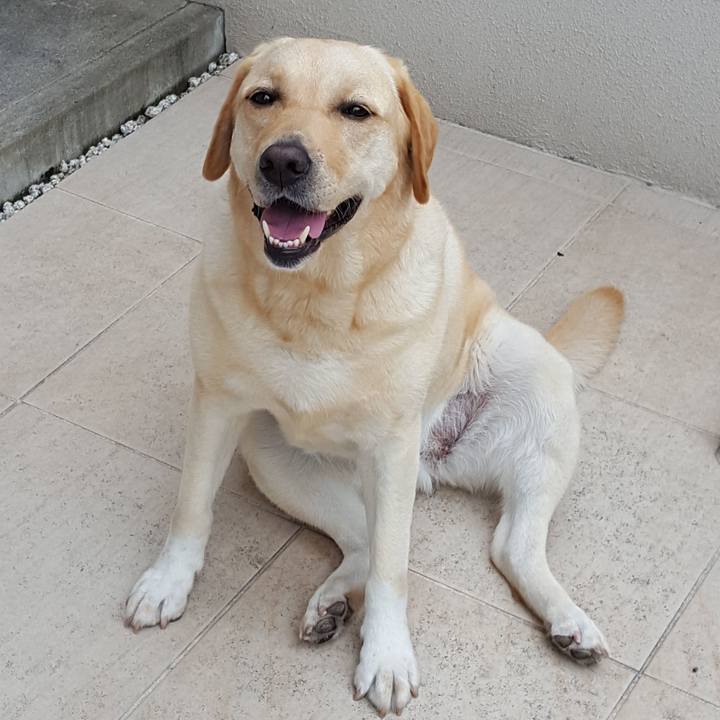 78b29f56 3b70 4f4b a047 5dcbe9816439