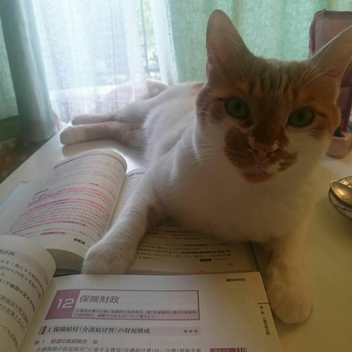 78b30cbd 8762 4c6b 8ebc 85076d892d1a