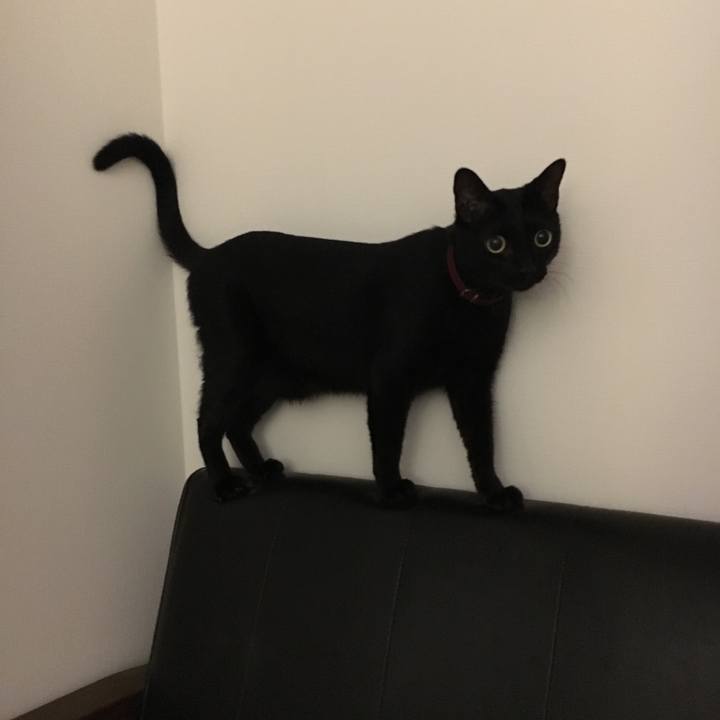 78b322e8 f31e 49d5 afa9 9e87b377c1d3