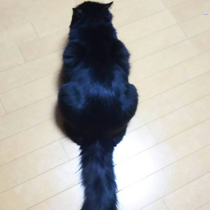 78b32915 75db 4d8d bf27 0c6b546c26ec