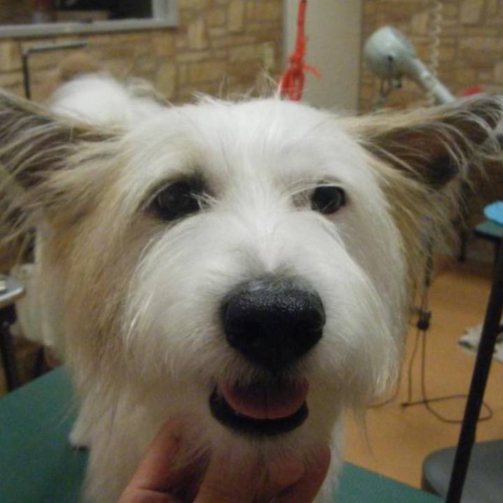 78b3329f b7cc 4111 8545 f04efa6bd2f1