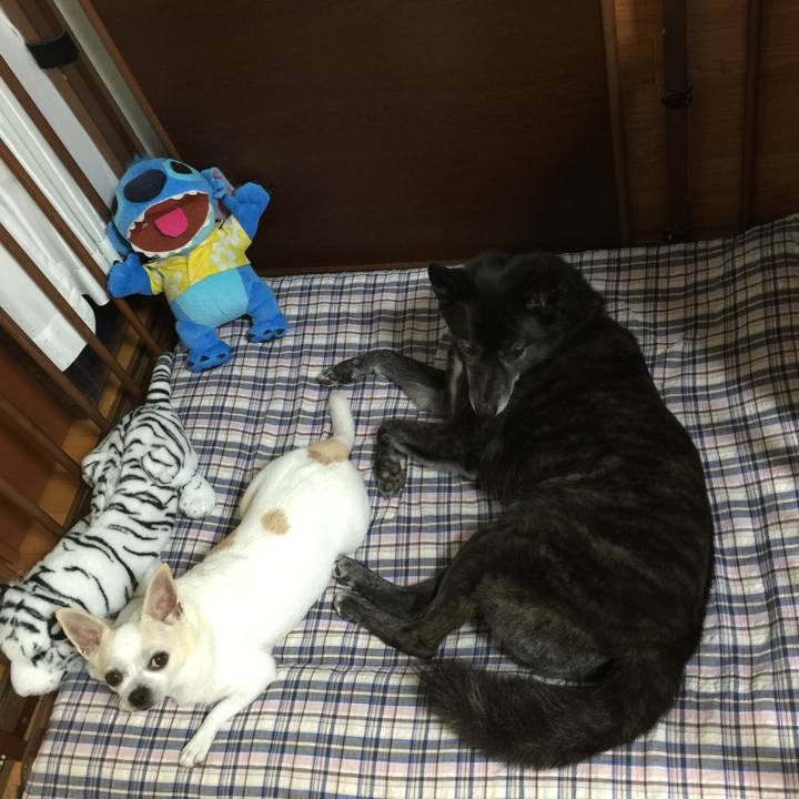 78b38622 06b0 4fa6 9419 c95b5e65422e