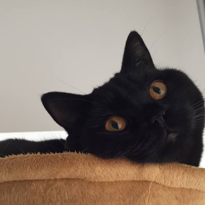 78b3ba20 e354 49da a4f6 b5a0af49cf3c