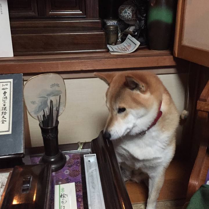 78b47af6 9d05 446f 86ab 27a672e3d700