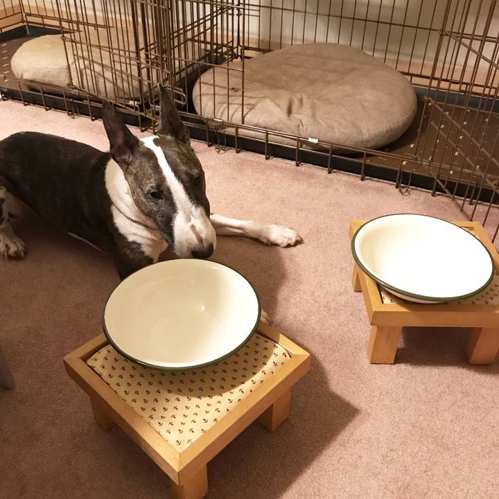 78b4e347 ec03 4ad4 8429 db8fece01f9c