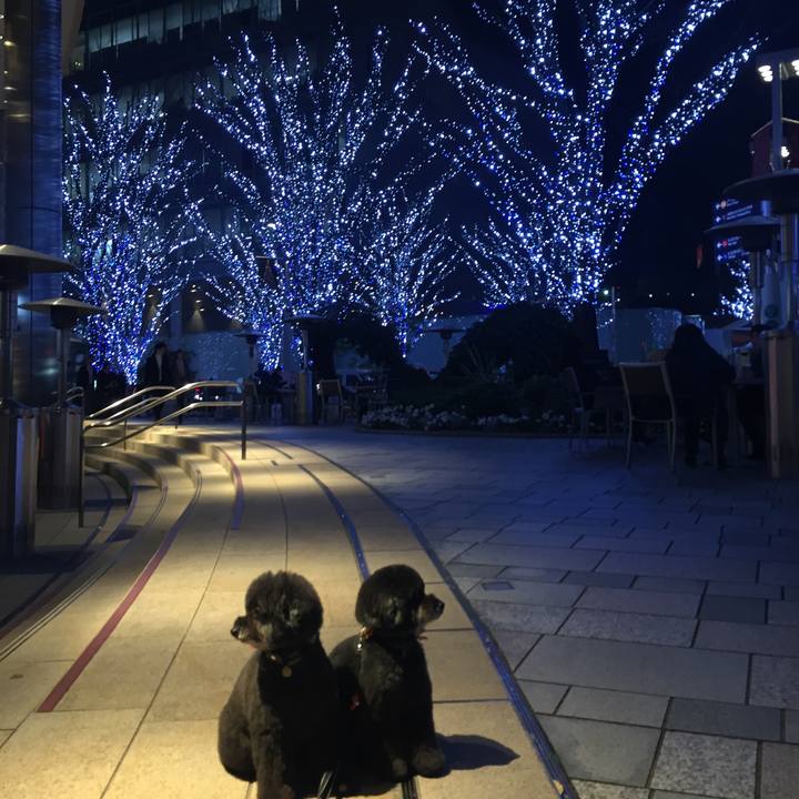 78b58be9 521a 49d3 8ee5 92245c458f83