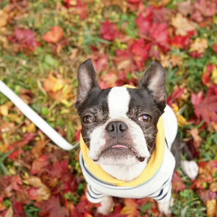 78b5cb79 b755 4aca 811e 06f9f4f1a32d