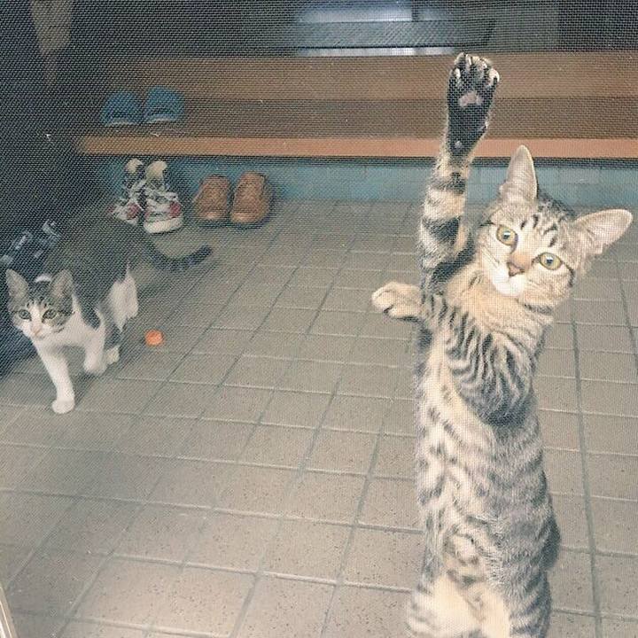 78b666a7 463f 4087 9e91 4aa5b1fb24a4