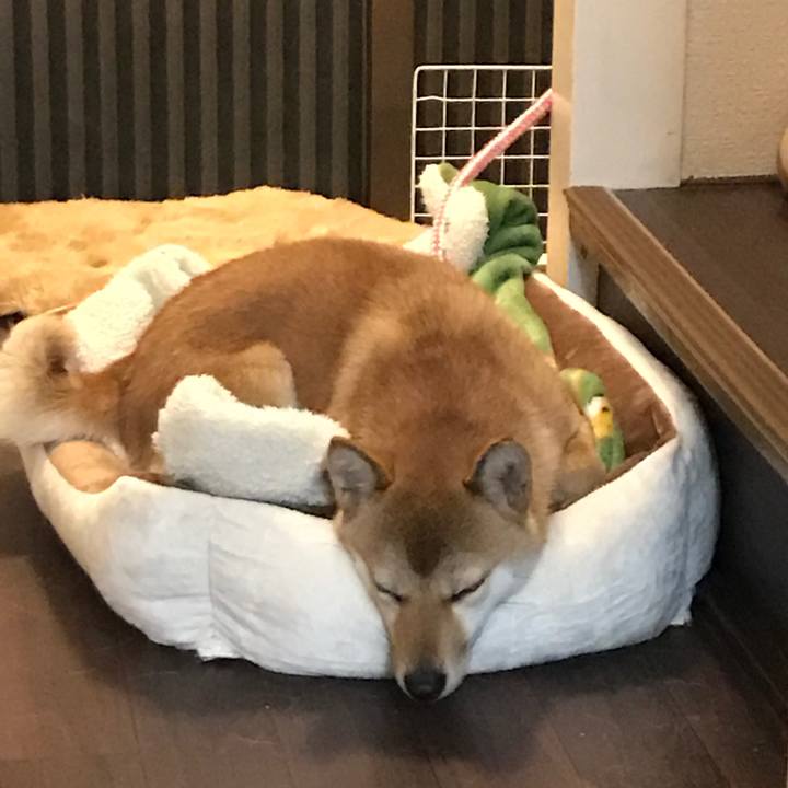 78b6712f 13ce 44ab 9f14 8a4d13b10674