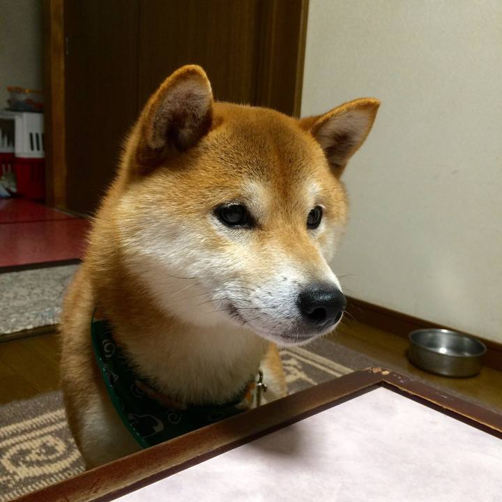 78b6a9dd e4e1 44b8 aab0 078cb3eecda3