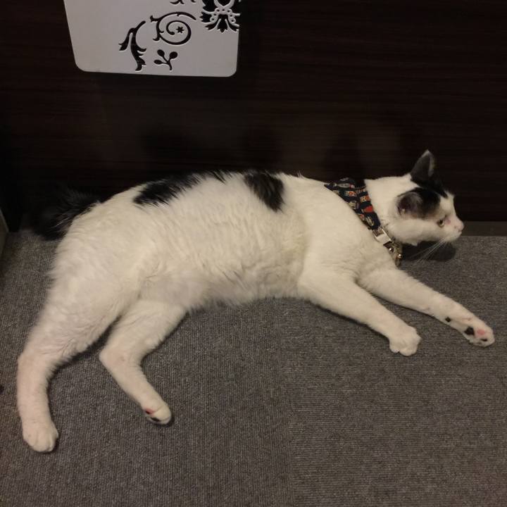 78b6e25c a5b2 44d2 8840 1d8a755dffae