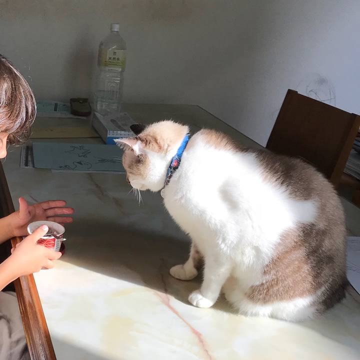 78b74954 cc3b 4edf 8f78 4a73bba4cb2b